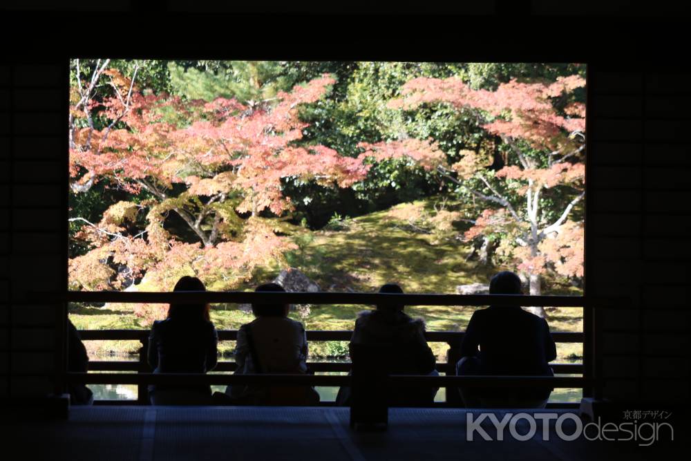 天龍寺　曹源池庭園6