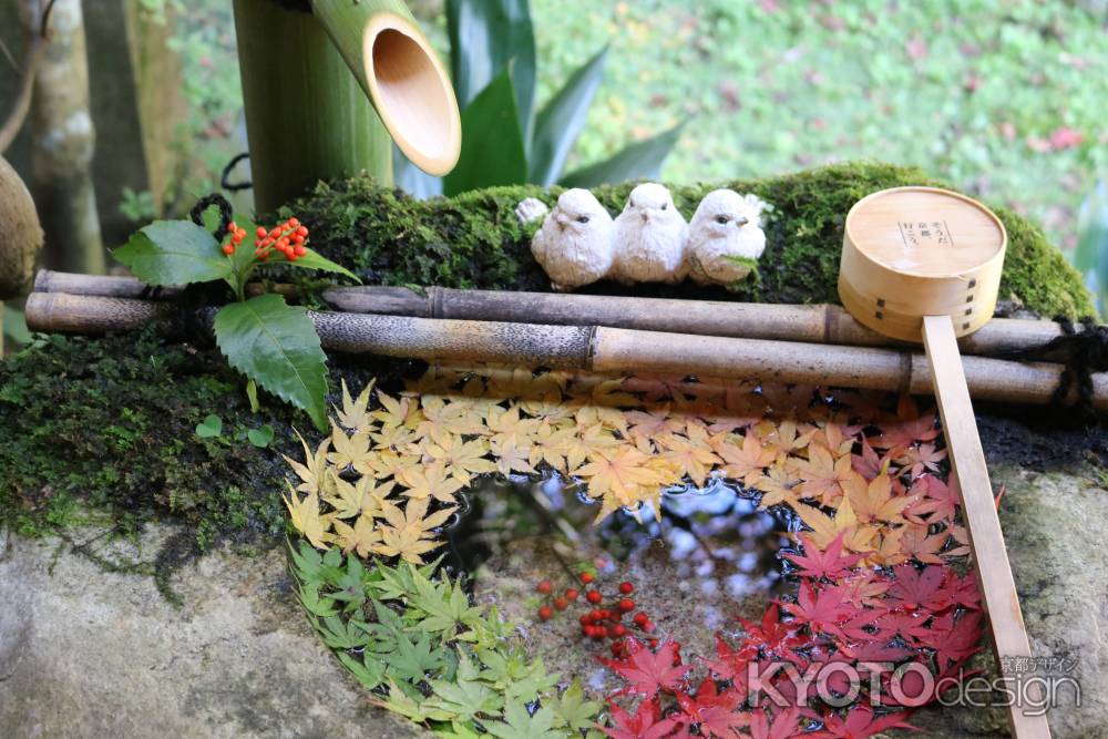 柳谷観音寺　花手水2