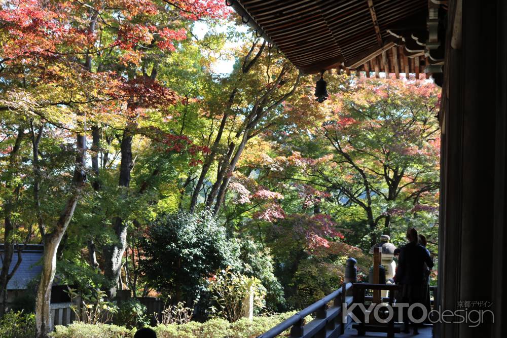 柳谷観音寺　紅葉