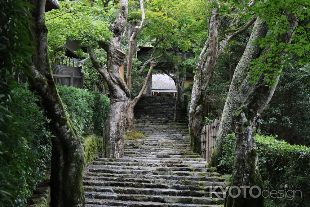 夏の寂光院