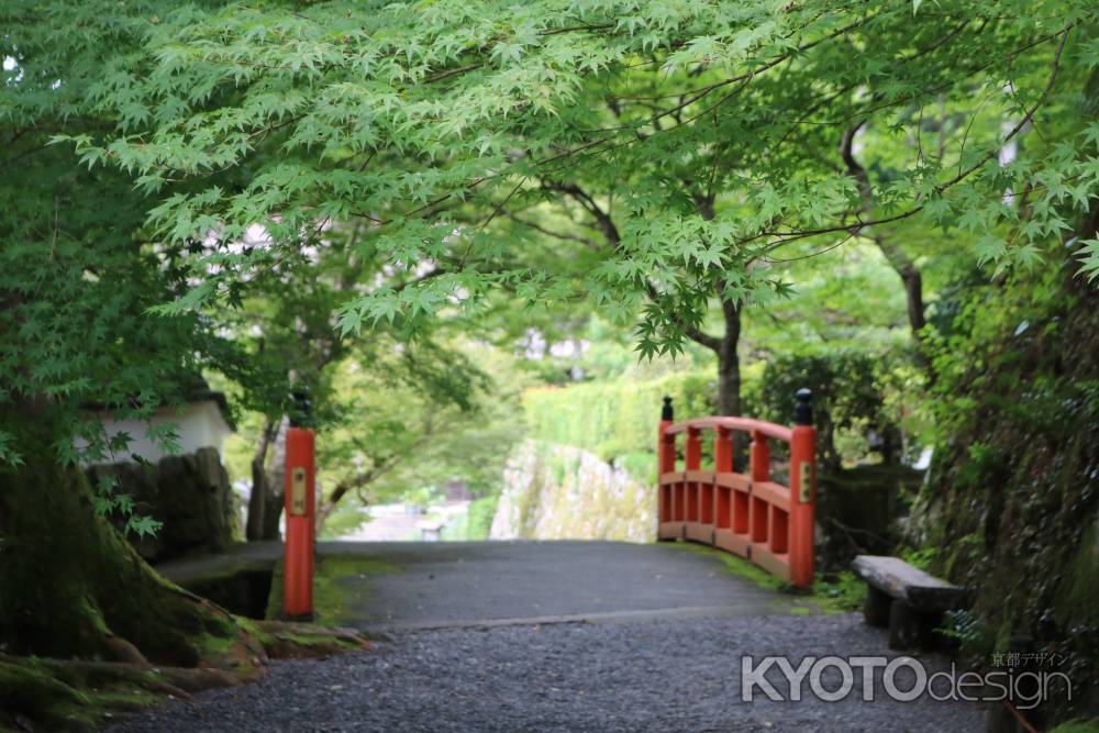 大原三千院参道 赤橋