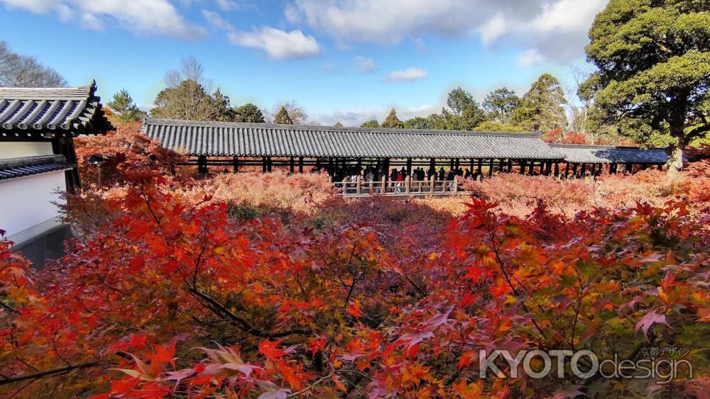 東福寺　紅葉