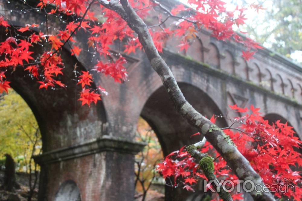 南禅寺水路閣　紅葉