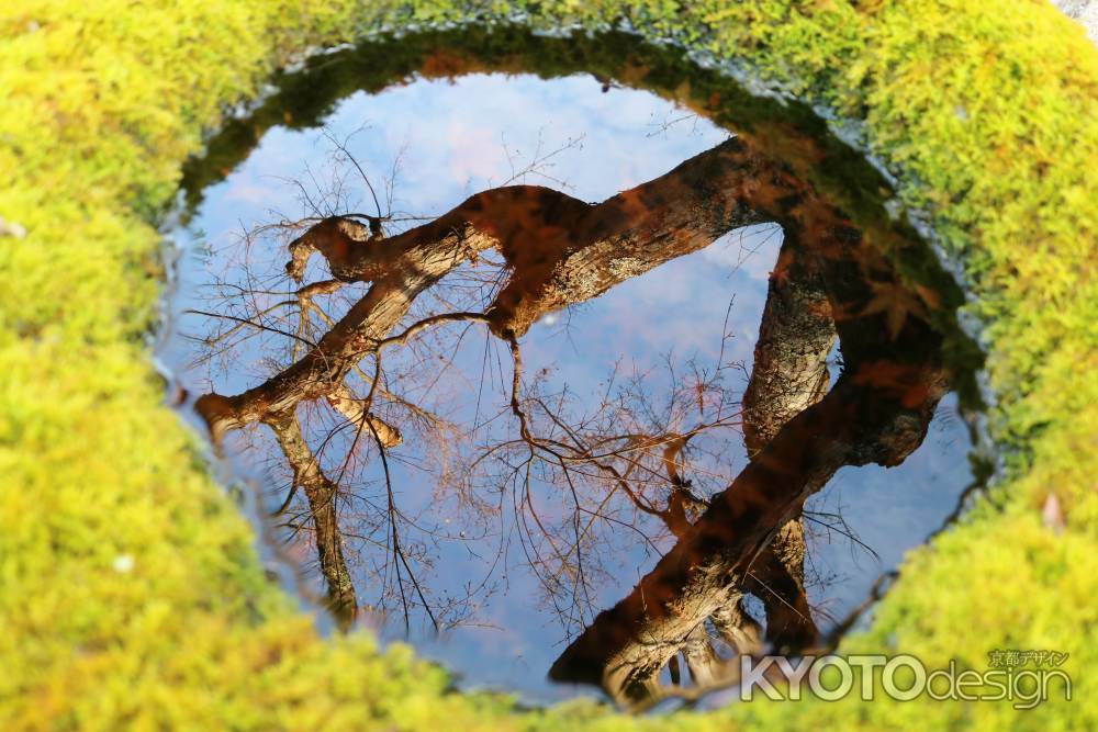 大原実光院の手水