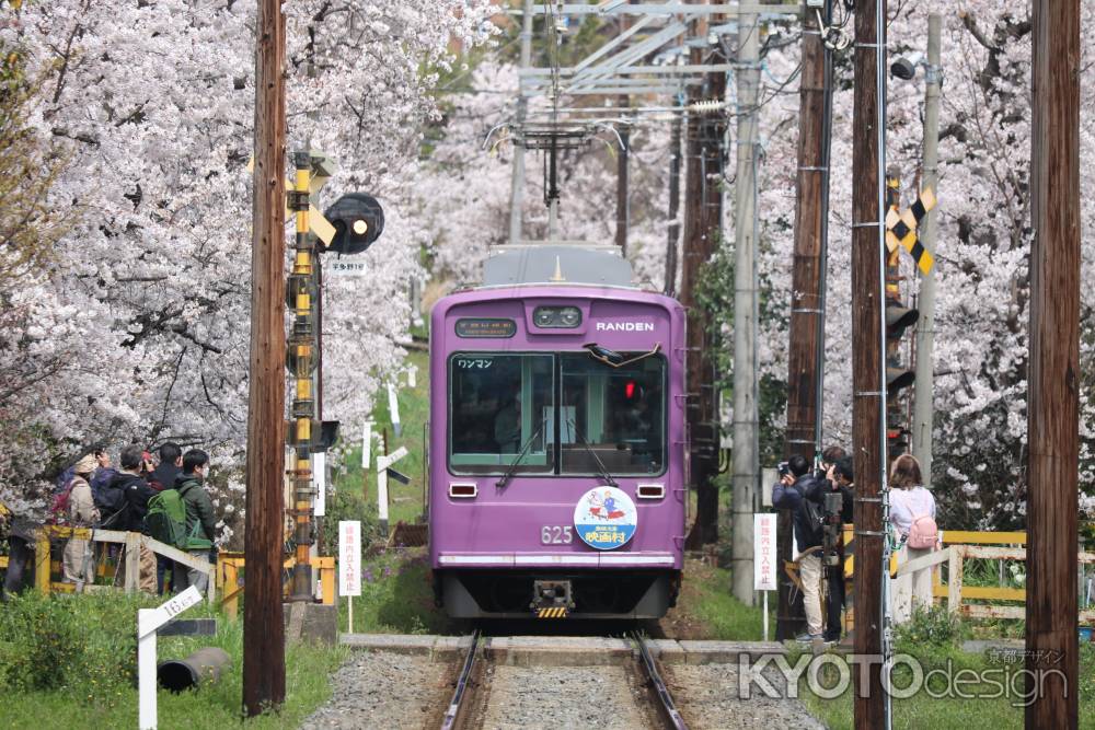 嵐電桜のトンネル3