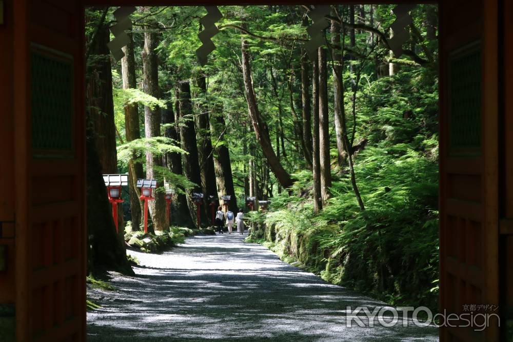 貴船神社　奥宮参道