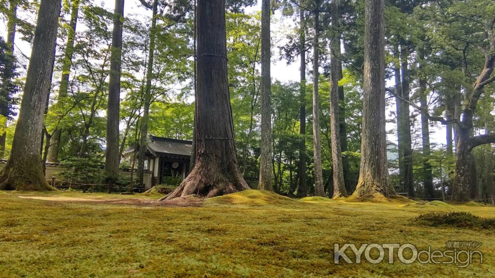 大原三千院