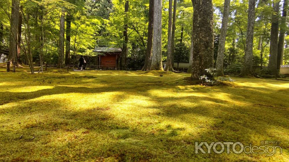 大原三千院