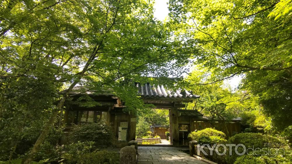 宝泉院　青紅葉