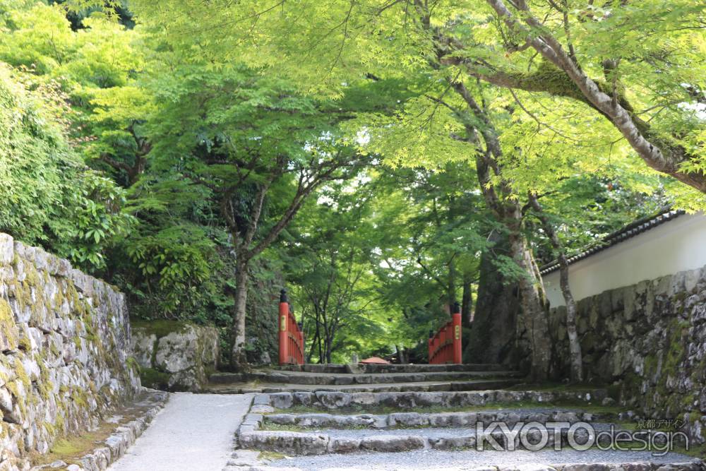 大原三千院　参道