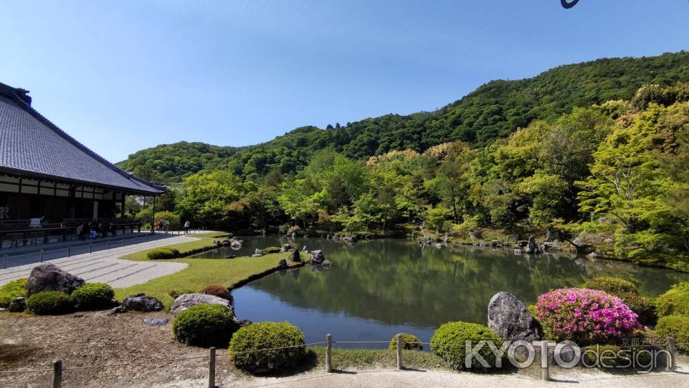 天龍寺　曹源池庭園