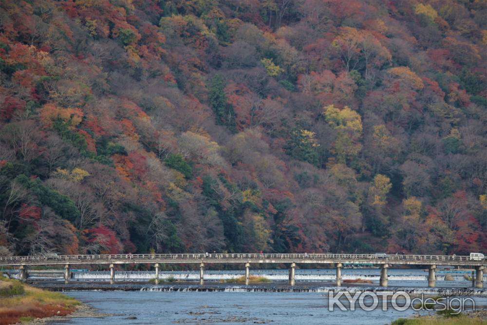 嵐山　渡月橋2