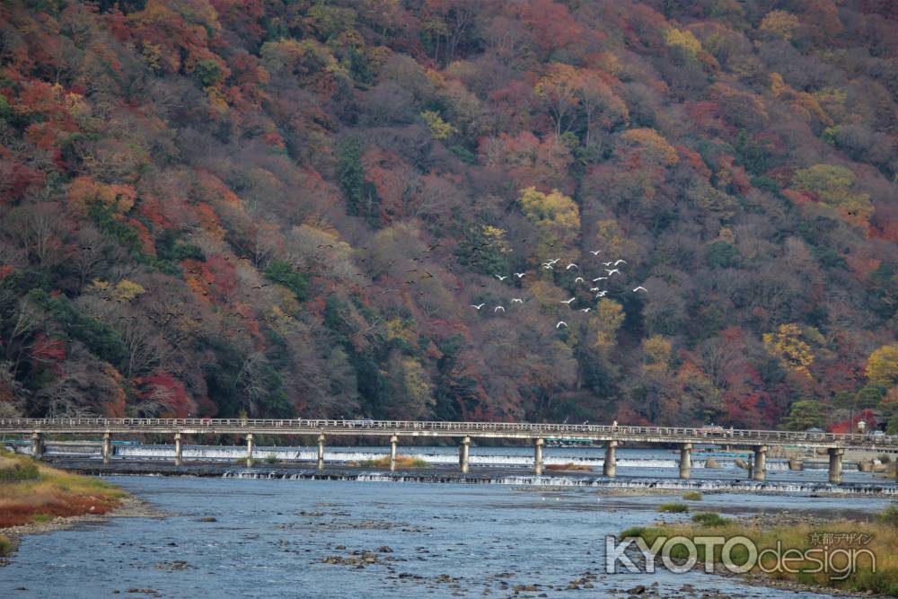 嵐山　渡月橋3