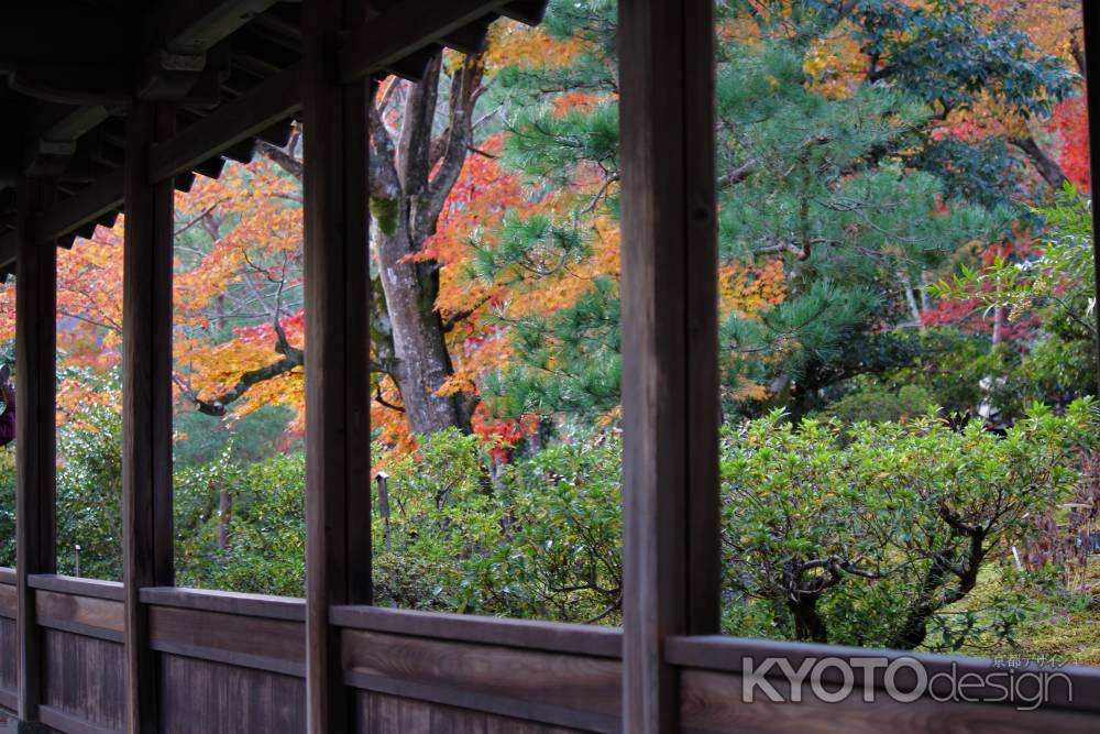 嵐山　天龍寺5