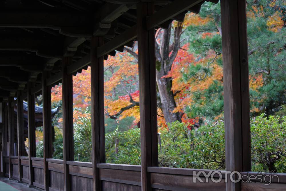 嵐山　天龍寺6