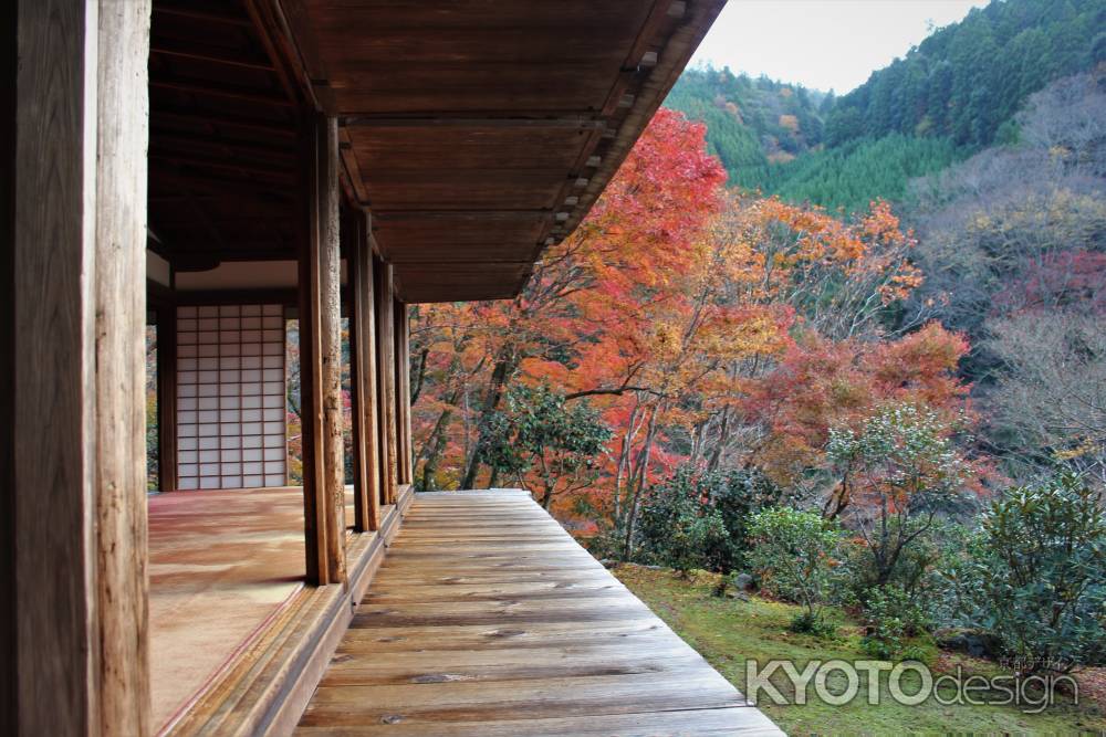 高山寺　石水院の紅葉4