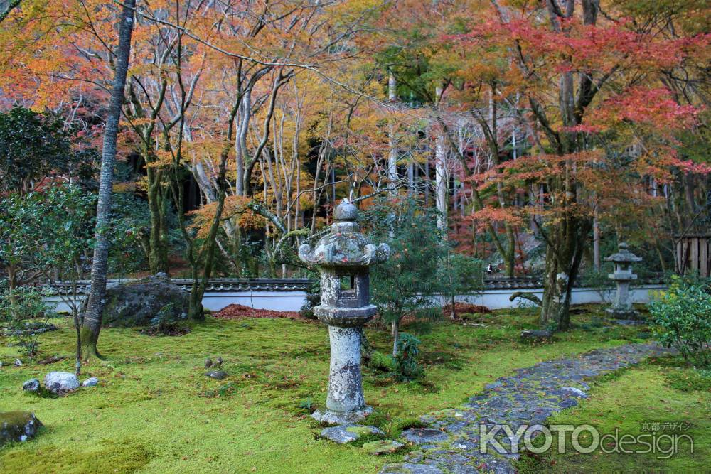 高山寺　石水院の紅葉6