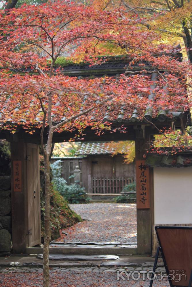 高山寺　石水院の紅葉9