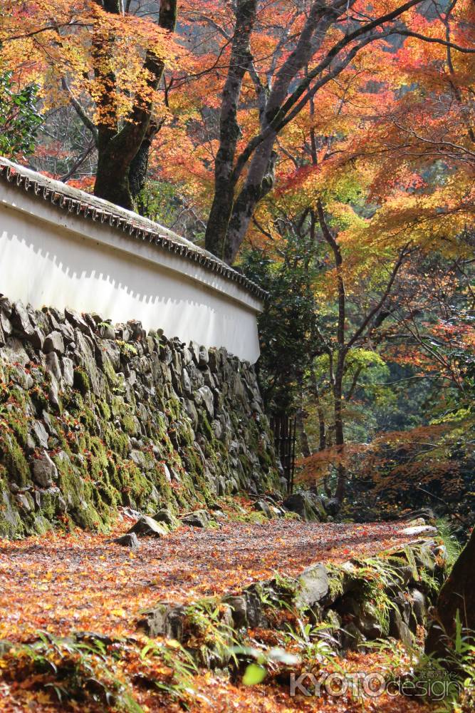 高山寺　石水院の紅葉12