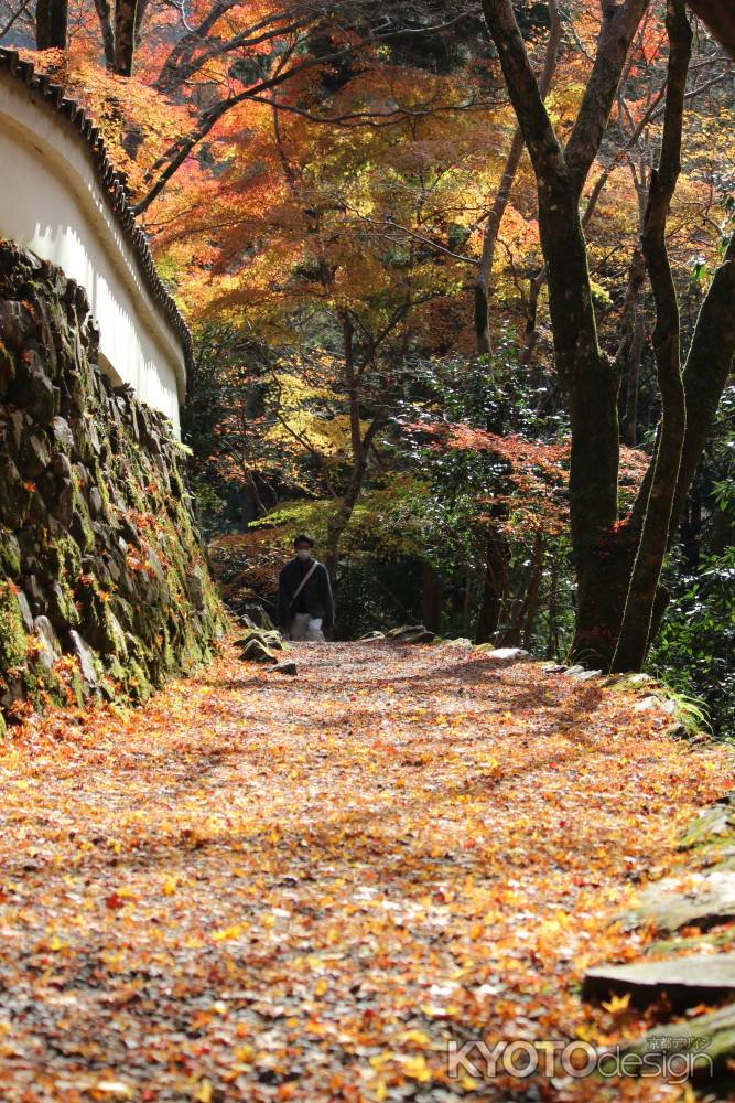 高山寺　石水院の紅葉13