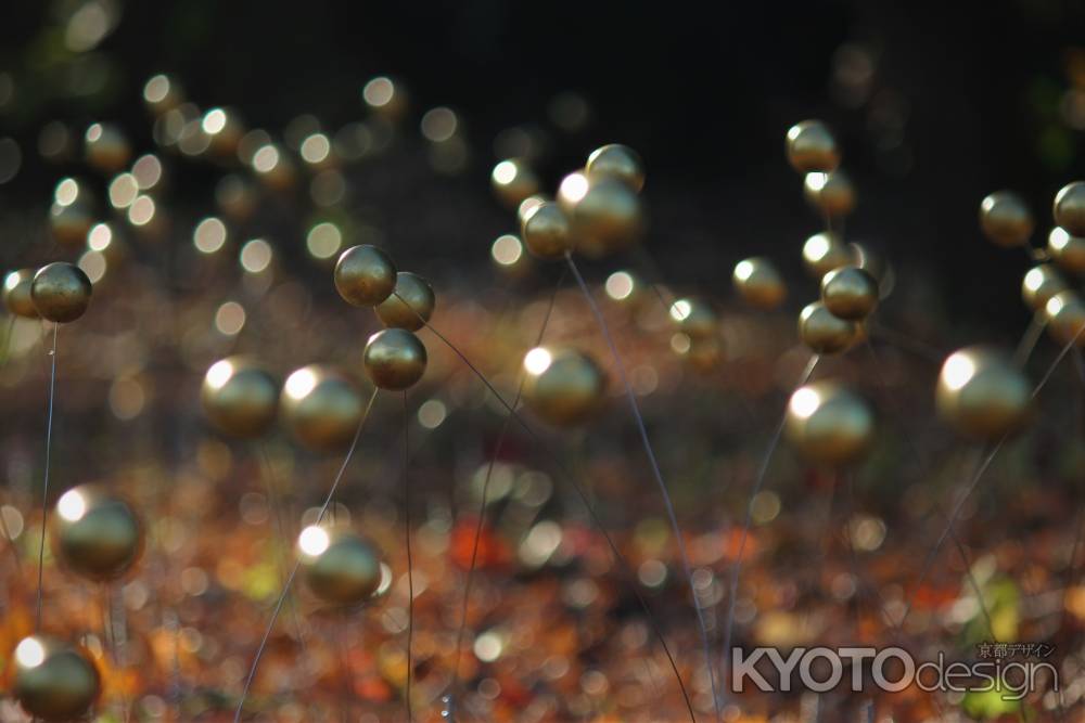 京都府立植物園の彫刻展1