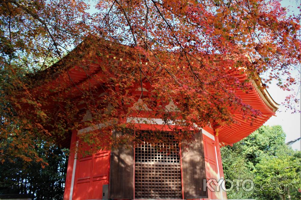 東福寺　愛染堂　紅葉　