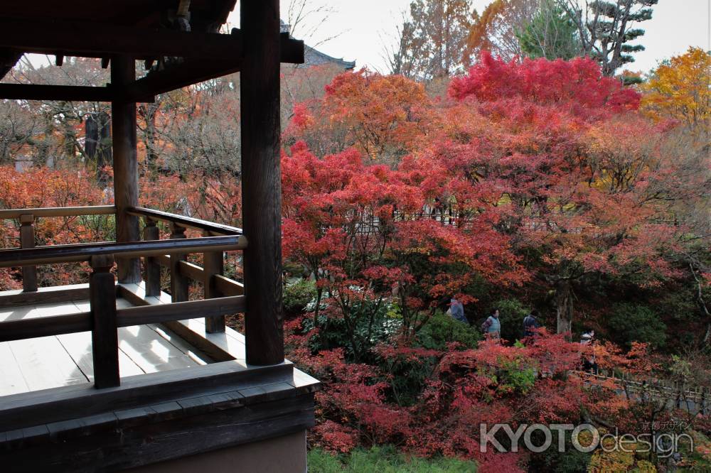 東福寺　紅葉7