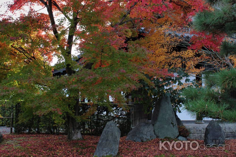 東福寺　紅葉6