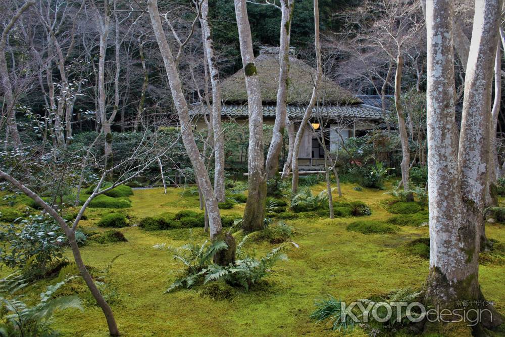 祇王寺