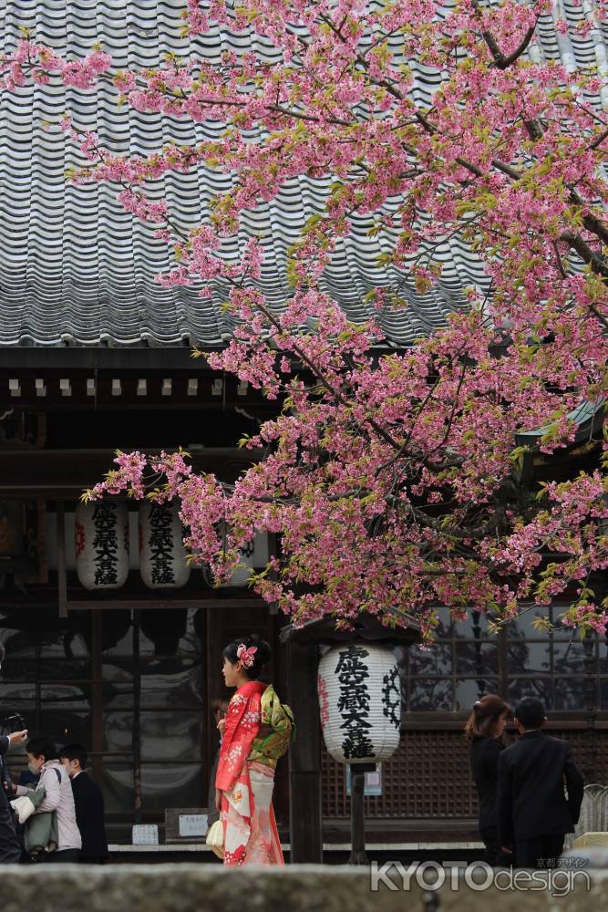 虚空蔵法輪寺　十三参り