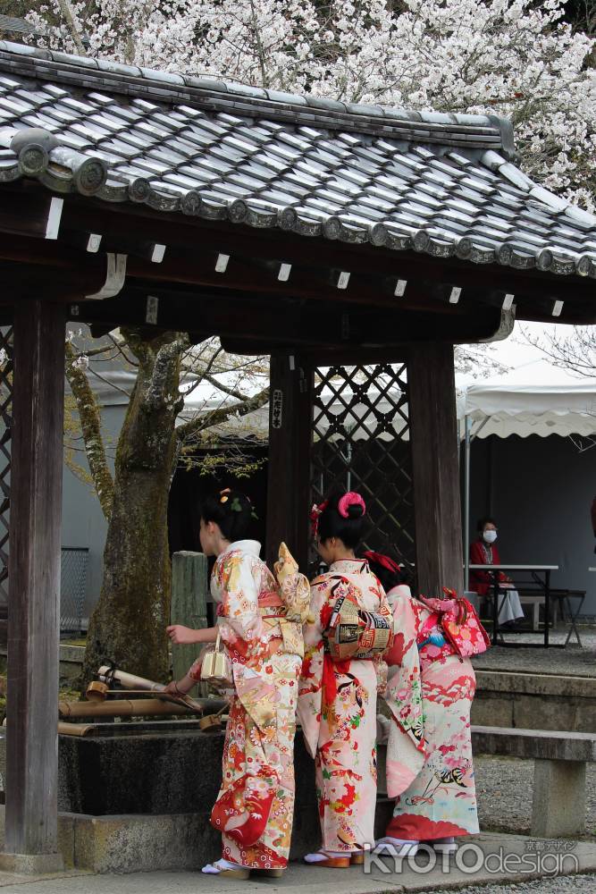 虚空蔵法輪寺　十三参り2