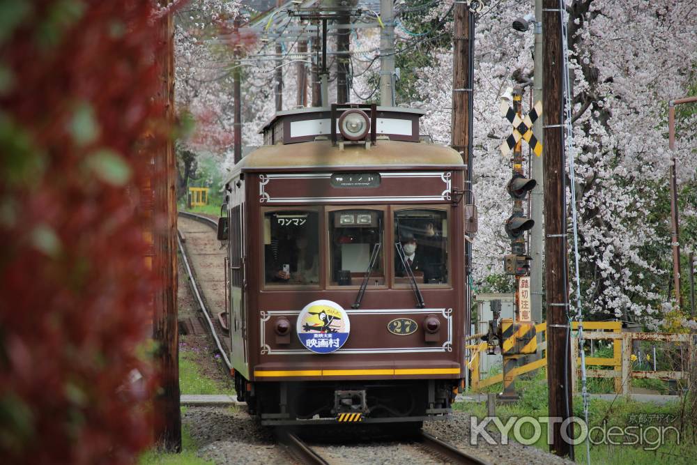 嵐電桜のトンネル