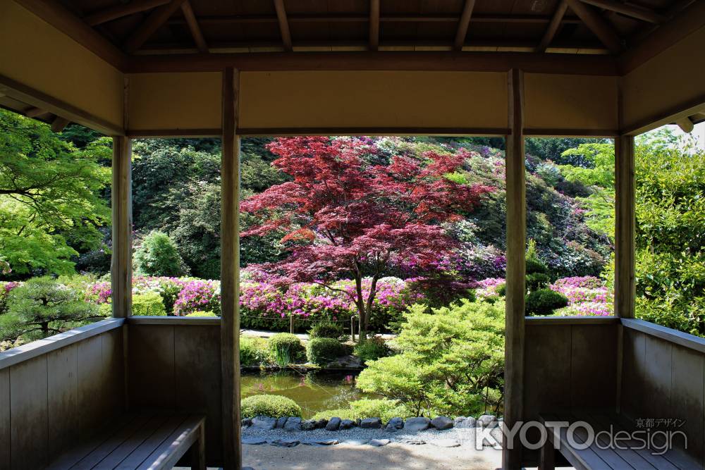 三室戸寺　庭園