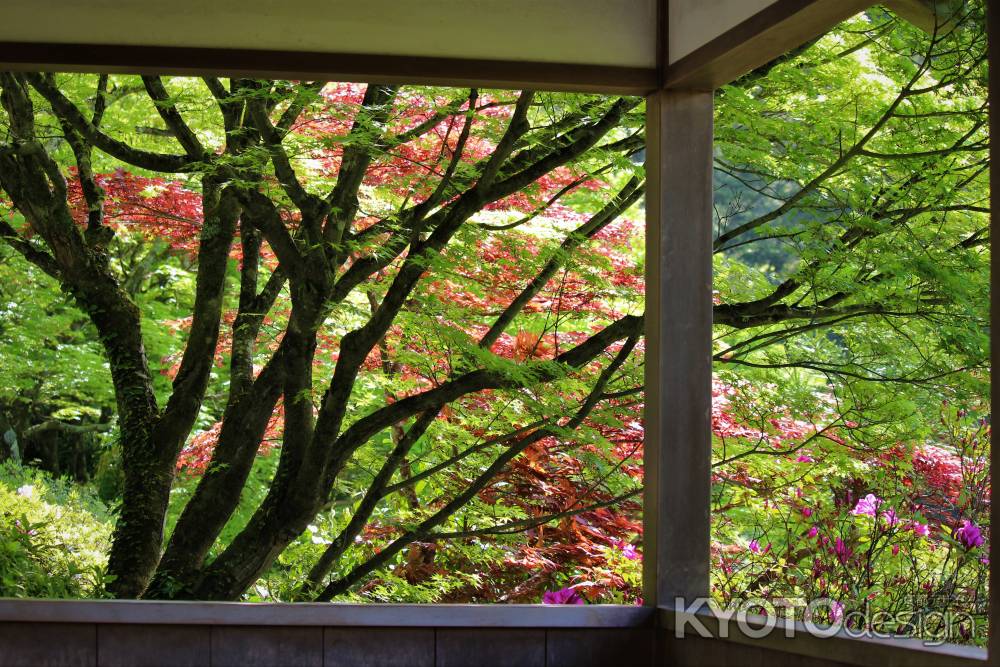 三室戸寺　庭園