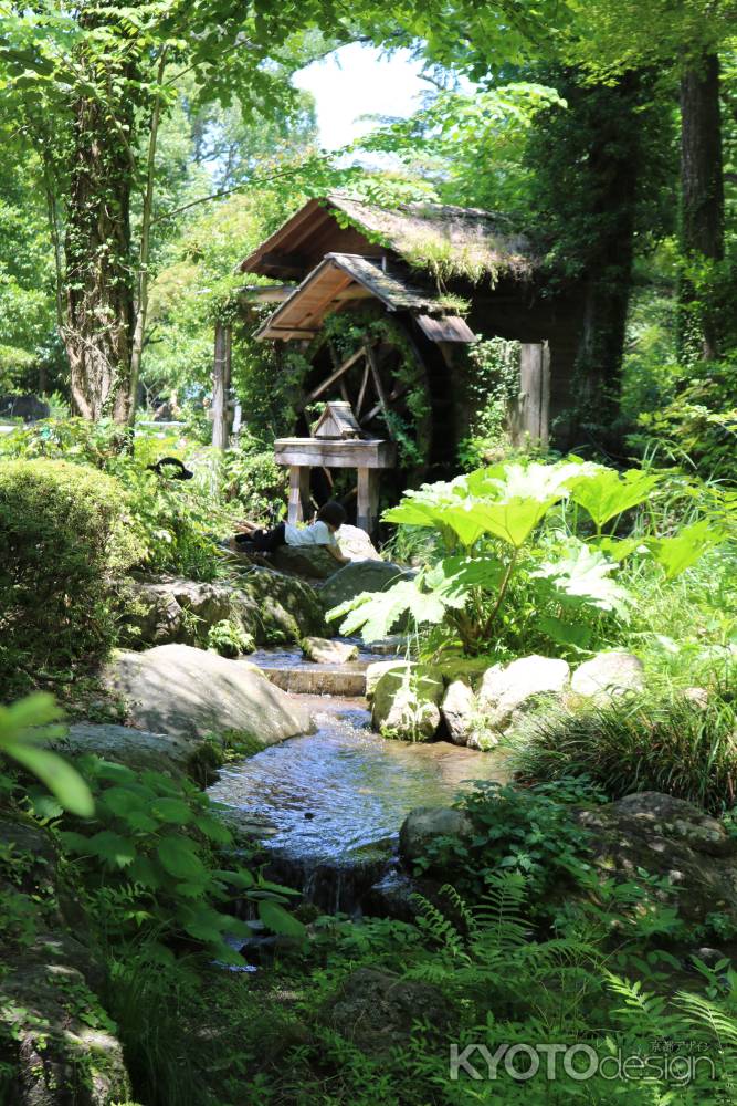 京都府立植物園　森の水車小屋