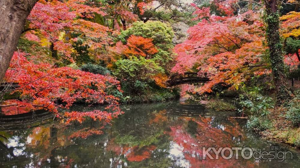 京都府立植物園　紅葉2