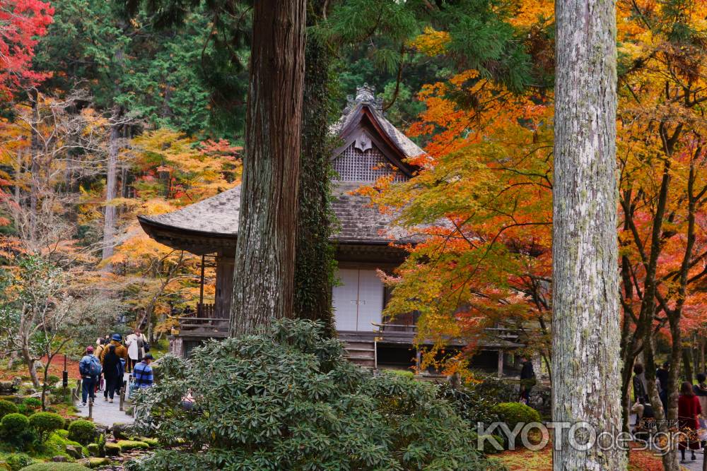 大原三千院　紅葉