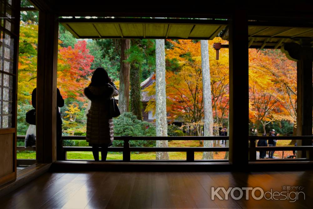 大原三千院　紅葉2