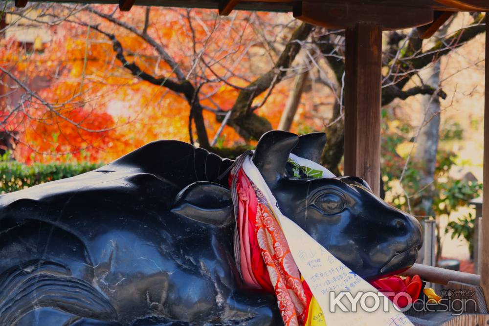 北野天満宮なで牛