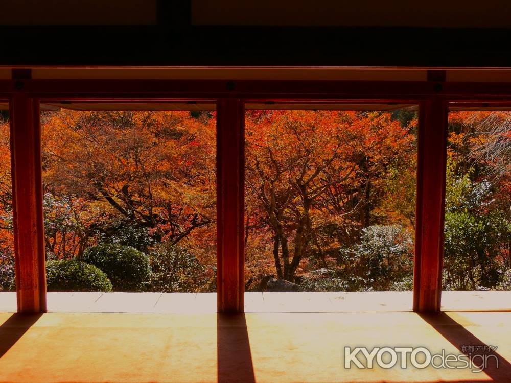 高山寺　石水院の紅葉