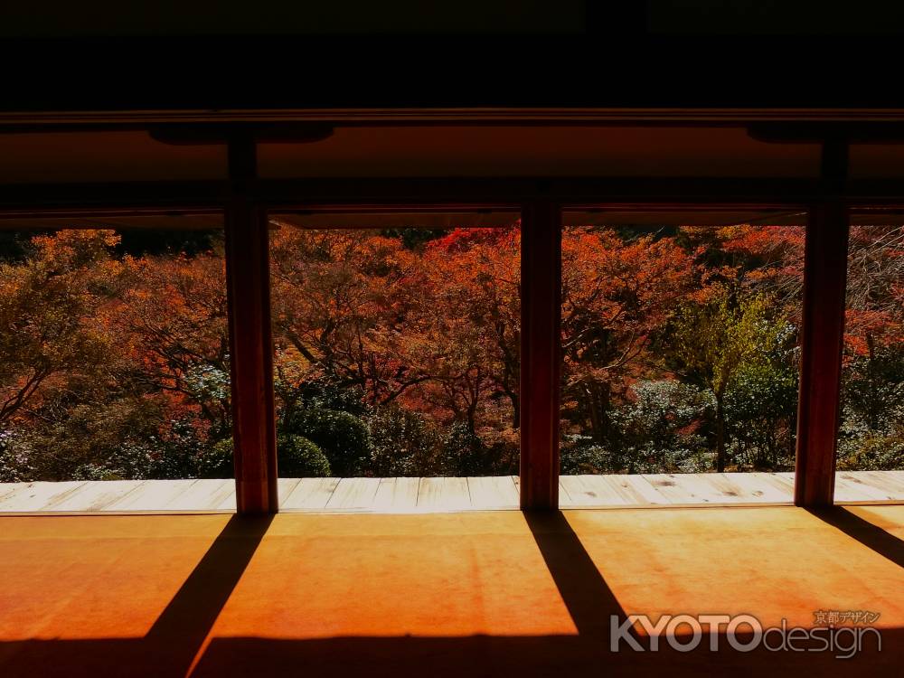 高山寺　石水院の紅葉2