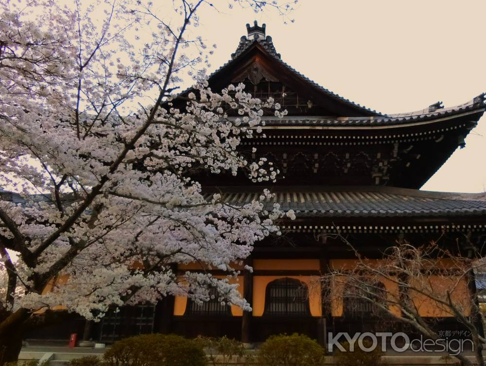 南禅寺の桜