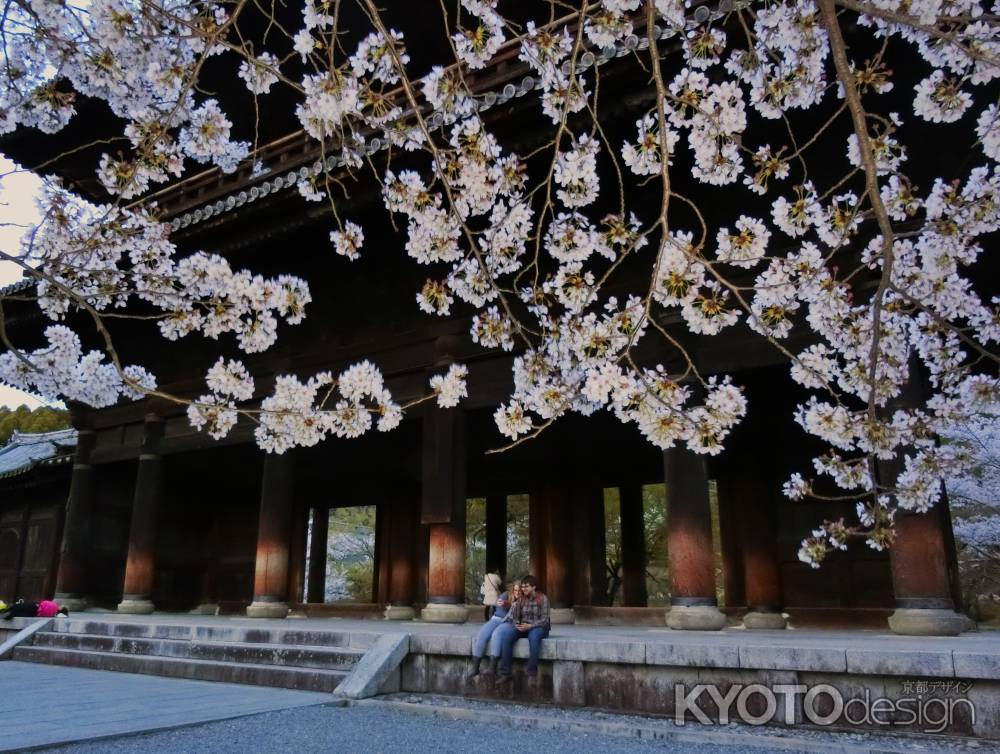 南禅寺の桜3