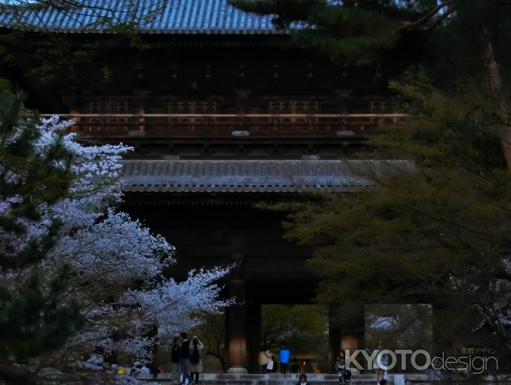 南禅寺の桜4