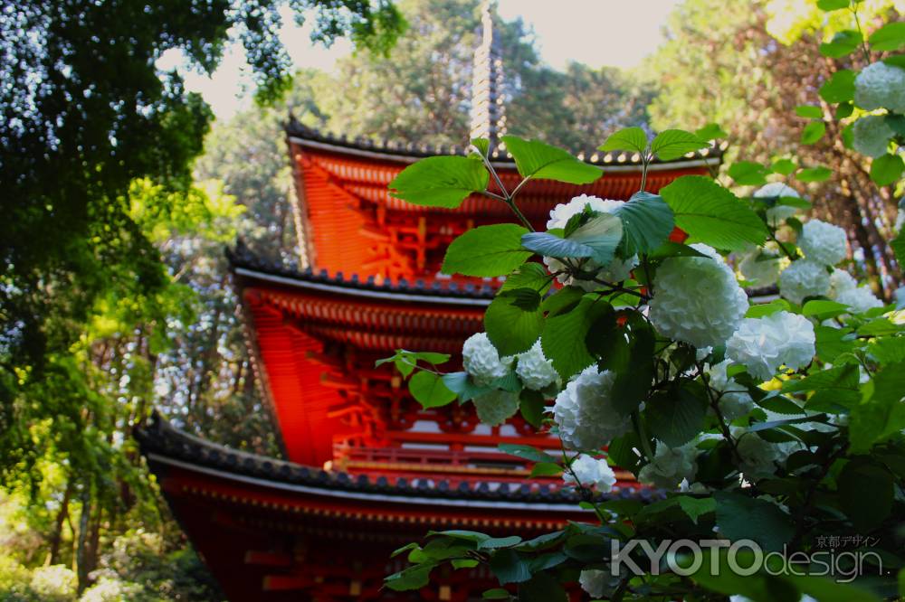 岩船寺　三重塔とおおてまり