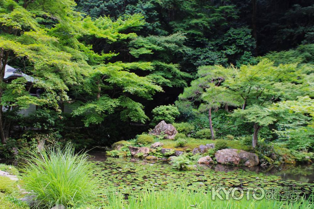 南禅寺庭園