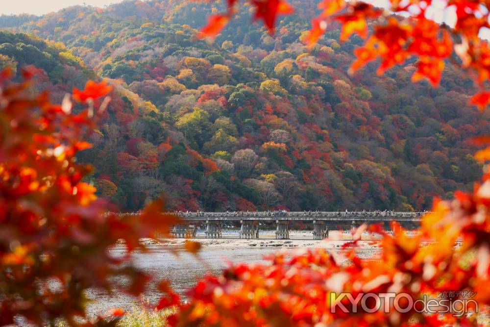 嵐山　渡月橋