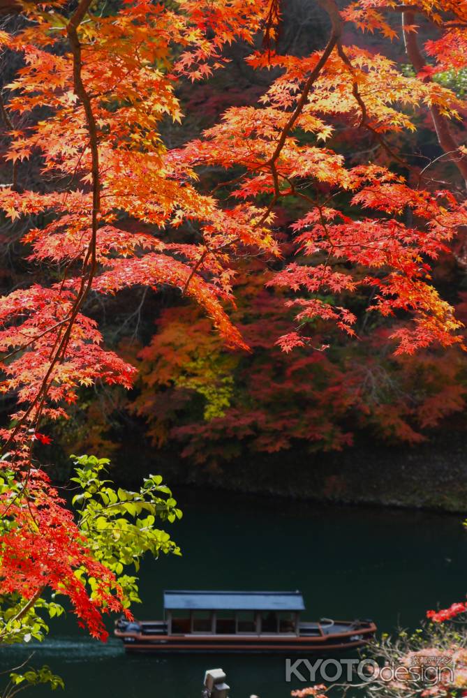 嵐山公園　紅葉と舟