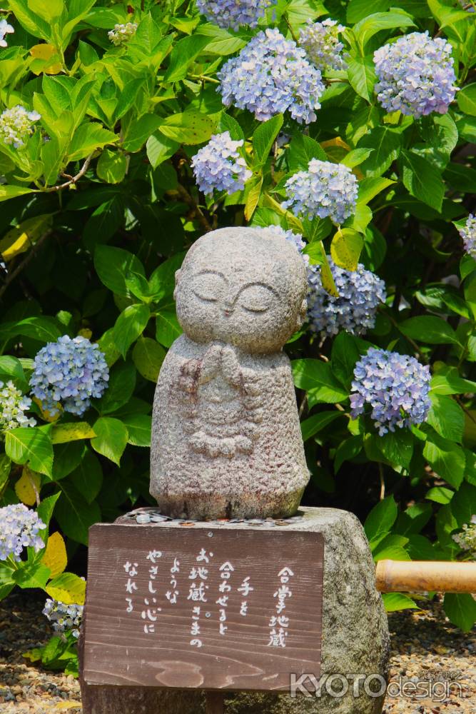 観音寺のあじさいと地蔵