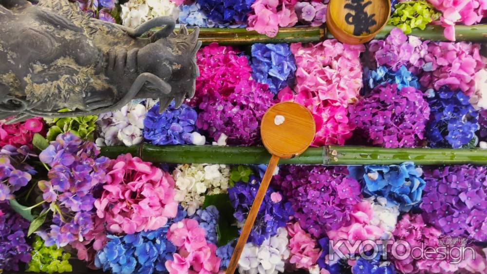 柳谷観音楊谷寺　あじさい